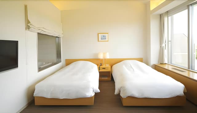 Luxury Twin Room