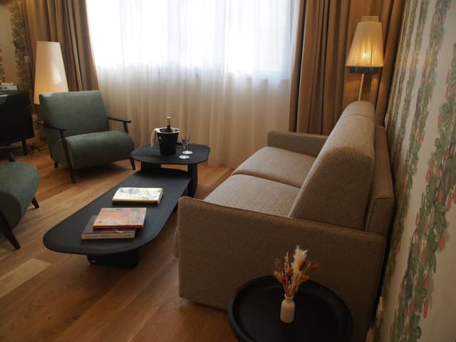 Superior Suite, 1 Queen Bed with Sofa bed