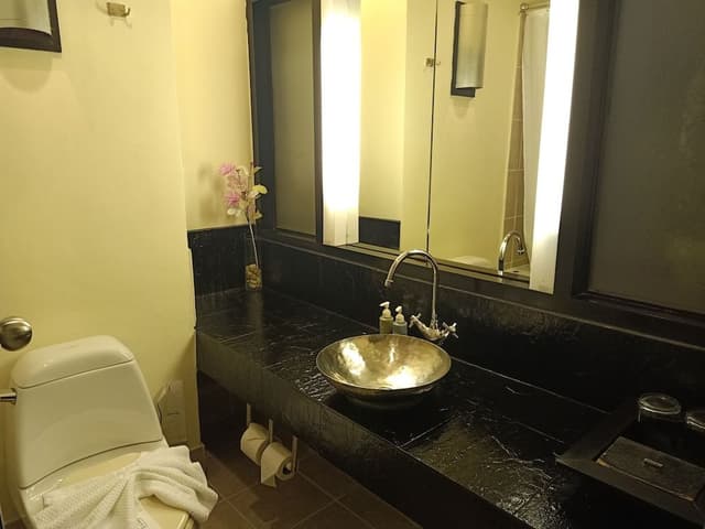 Deluxe Double or Twin Room, Balcony