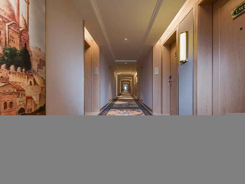 Venus International Hotel Guangdong Meizhou Fengshun Huamao Hot-Spring