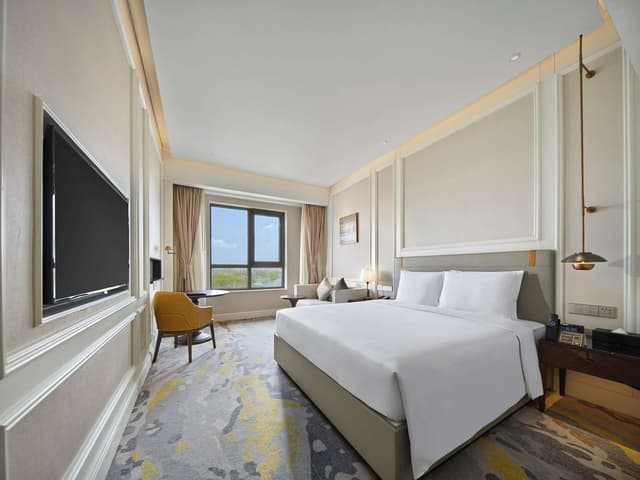 KING ACCESSIBLE ROOM