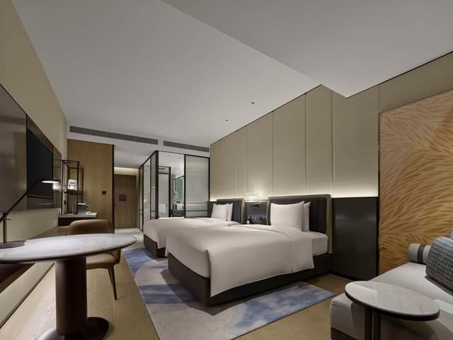 TWIN EXECUTIVE ROOM