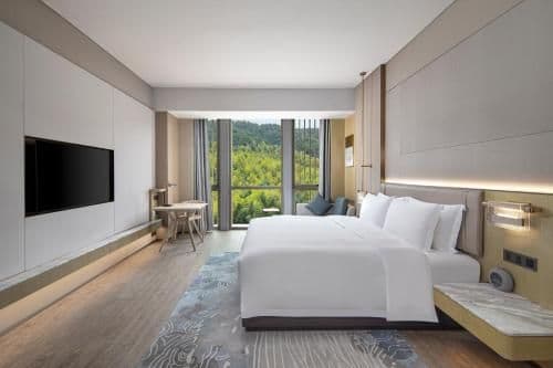 Deluxe Mountain View King Room