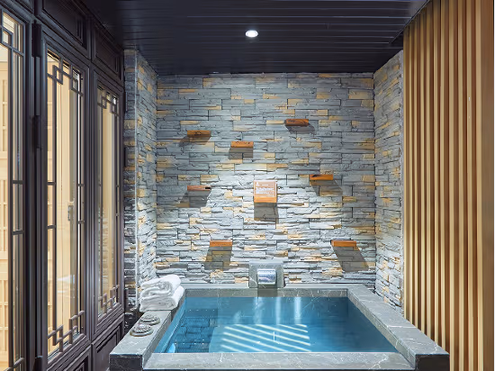 Mountain View Hot Spring Single Room