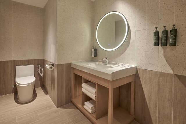 KING ACCESSIBLE ROOM