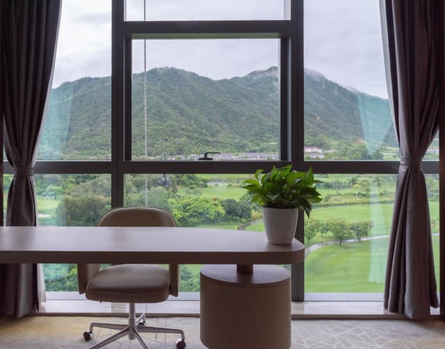 Deluxe King Garden View