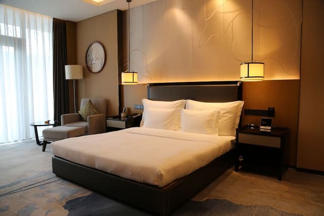 Room, 1 King Bed
