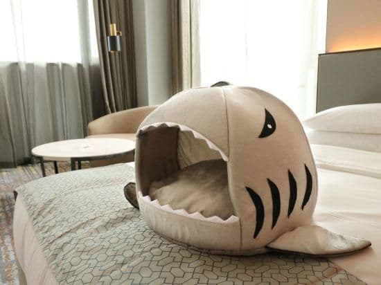Pet-Friendly Double Bed Room