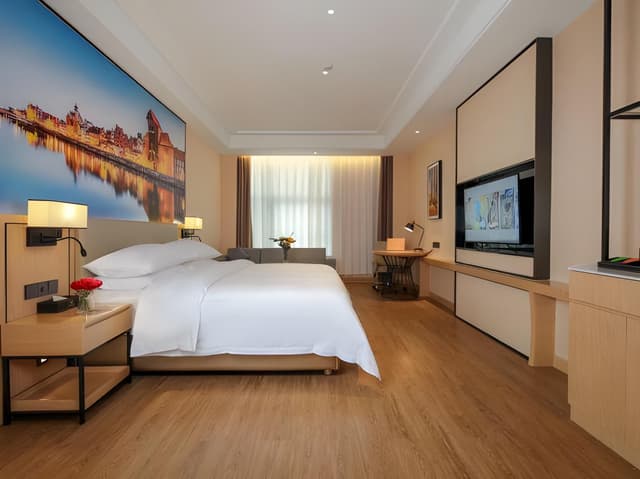 Vienna - Executive Room for 2 Guests
