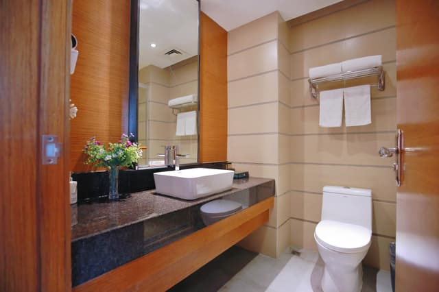 Business Double Room