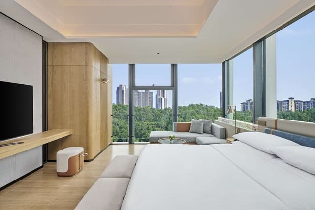 KING PRESIDENTIAL SUITE