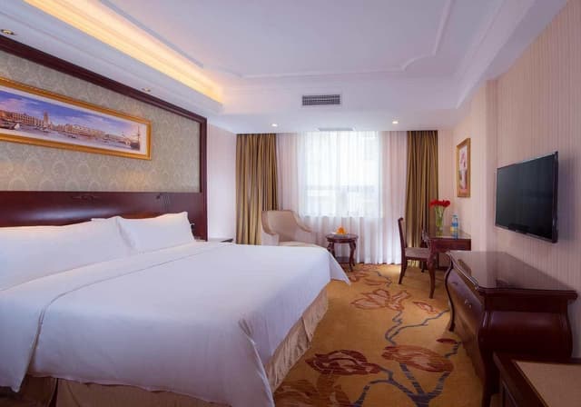 Vienna - Deluxe Room