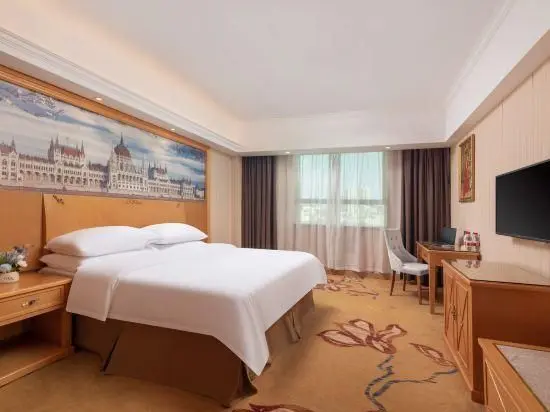 Vienna - Functional Chess Suite Room