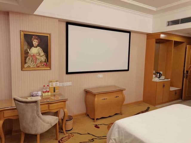 Vienna - Cinema Bed Room