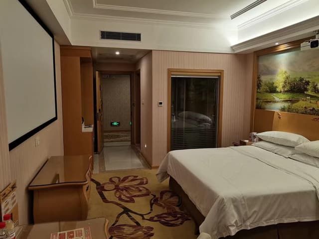 Vienna - Cinema Bed Room