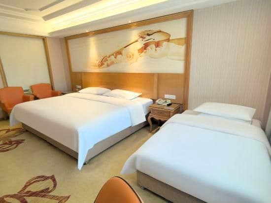 Vienna - Deluxe Room