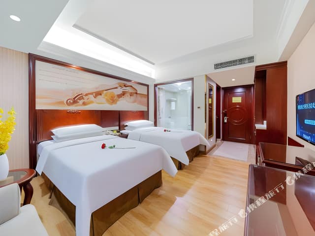 Vienna - Deluxe Room