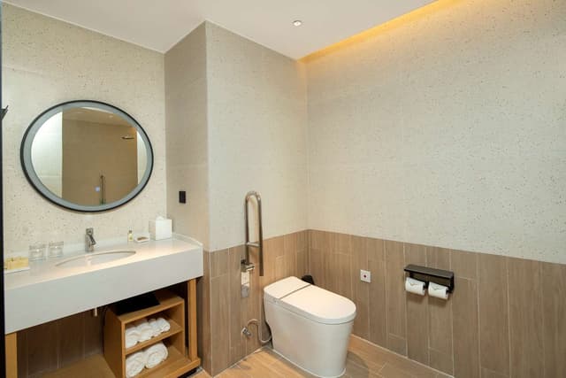 KING ACCESSIBLE ROOM