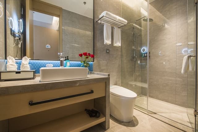 Standard Room, 1 King Bed, City View
