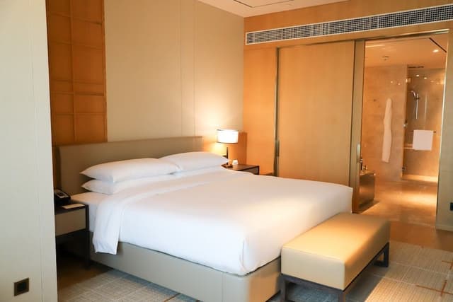 Room, 1 King Bed
