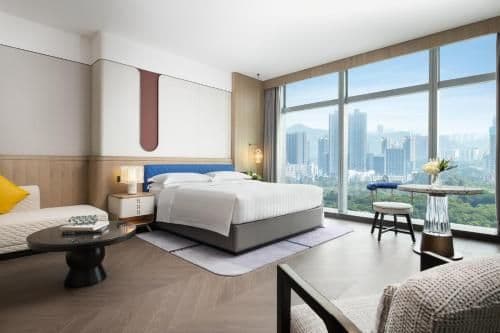 Premium Deluxe Room, 1 King Size Bed, City View