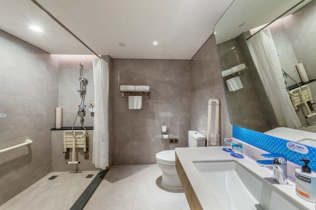 Standard Room, 1 King Bed, Accessible