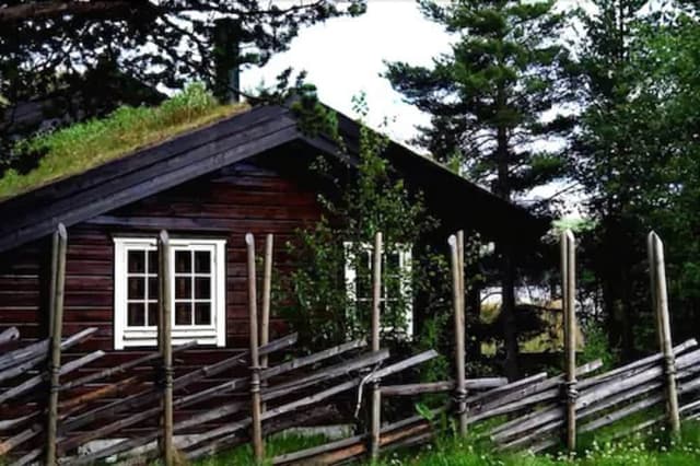 Comfort Cabin, Multiple Beds