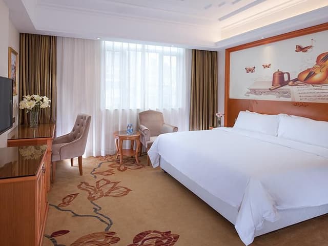 Vienna - Deluxe Room