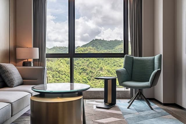 Suite, 1 King Bed, Park View