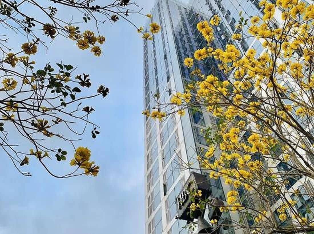 Shenzhen Zhenxin Luxury Apartment Shenzhen Zhenxin Luxury Apartment