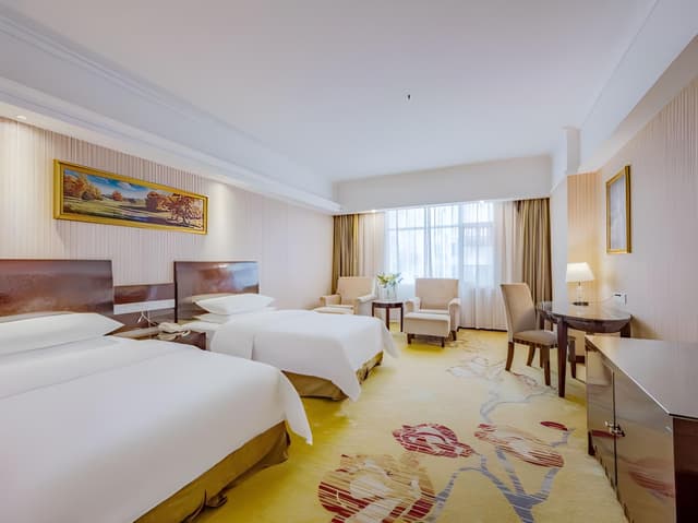 Vienna - Executive Twin Room