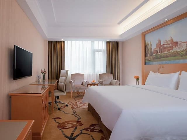 Vienna - Deluxe Room