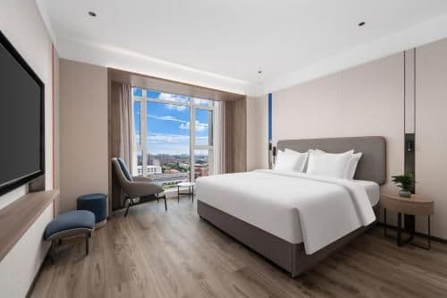 1 Bedroom Suite