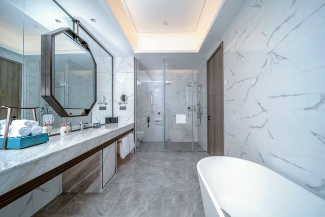 Premium Room, 1 King Bed, Bathtub