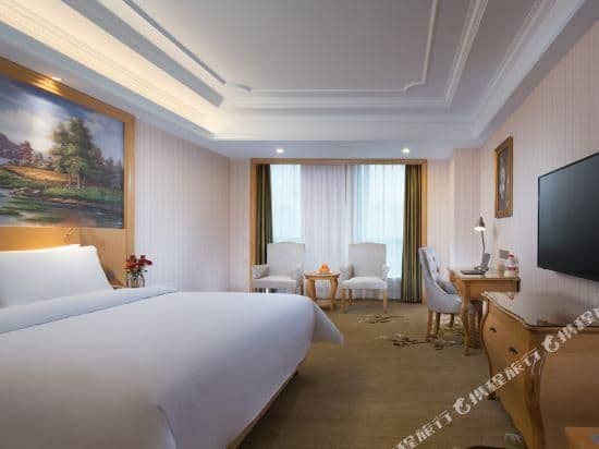 Vienna - Executive Room for 2 Guests