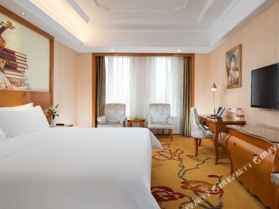Vienna - Functional Chess Suite Room