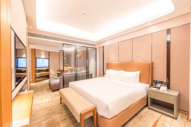 Comfort Suite, City View