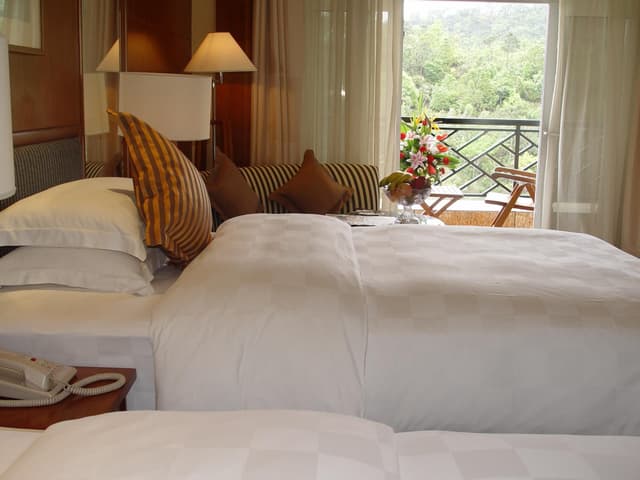 Deluxe Twin Bed