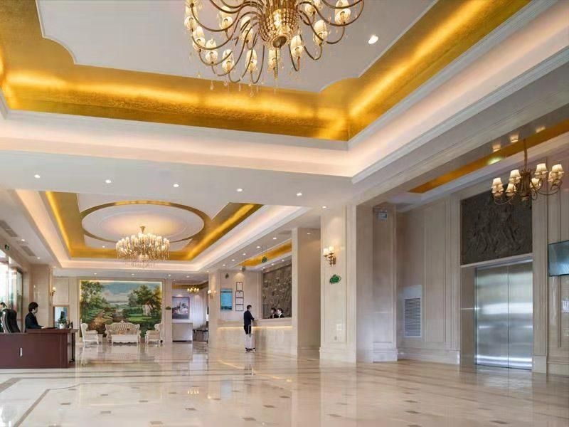 Venus International Hotel Guangdong Dongguan Songshanhu University Town1