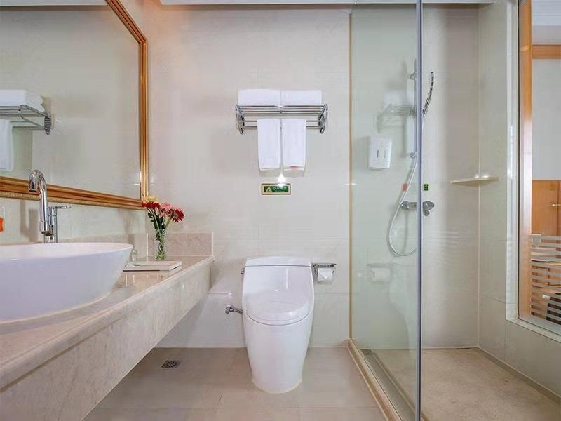Venus International Hotel Guangdong Dongguan Songshanhu University Town3
