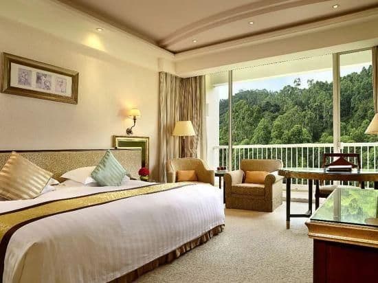 Deluxe Mountain-view Double Room