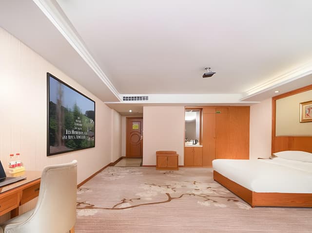 Vienna - Deluxe Room