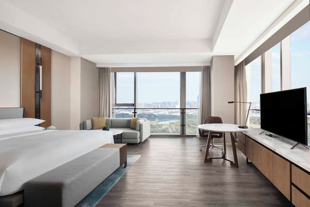 Room, 1 King Bed, Park View