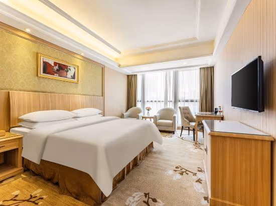 Vienna - Deluxe Room