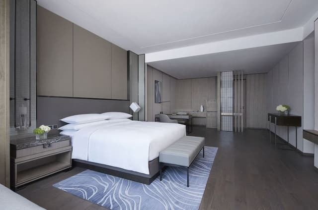 Deluxe Room, 1 Double Bed