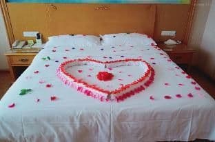 Vienna - Romance Themed Bed Room