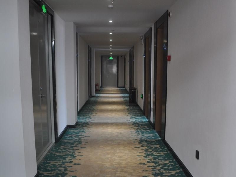 กรีนทรี อินน์ เอ็กซ์เพรส ฉางฉิว เจอเฉิงเคาน์ตี้ เซี่ยงไฮ้โร้ด (GreenTree Inn Express Shangqiu Zhecheng County Shanghai Road)1