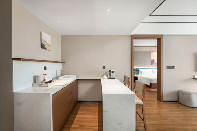 KING DELUXE SUITE