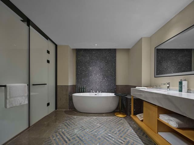 KING ONE BEDROOM SUITE