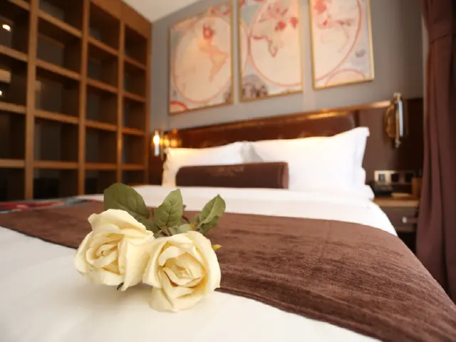 James Joyce - Feifan Delux Bed Room
